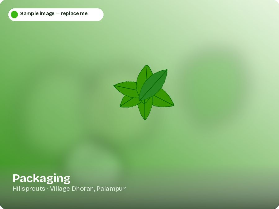 Packaging