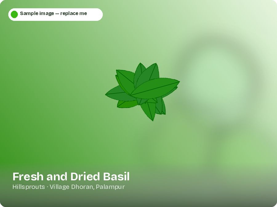 Fresh and Dried Basil