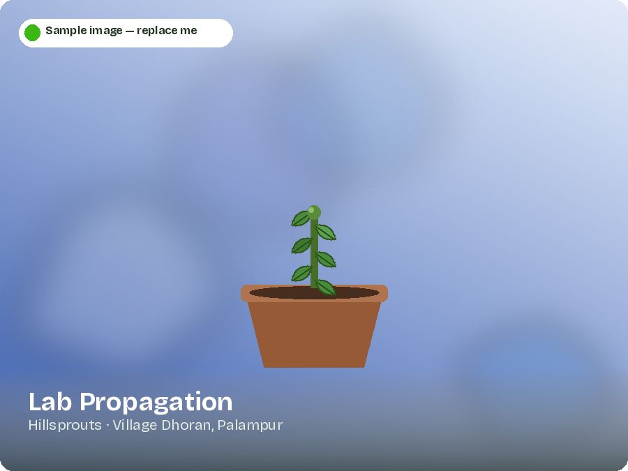 Lab Propagation