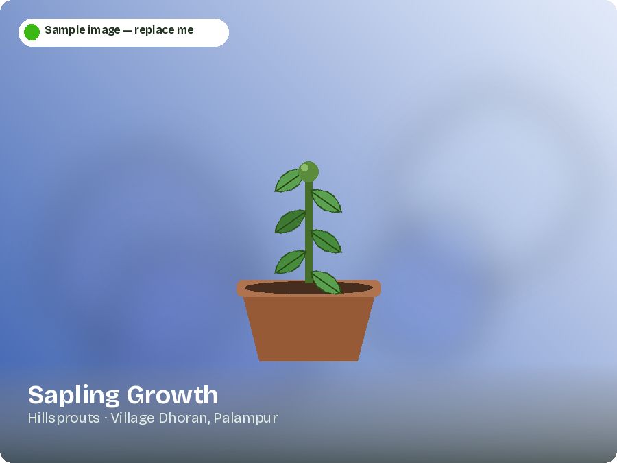 Sapling Growth