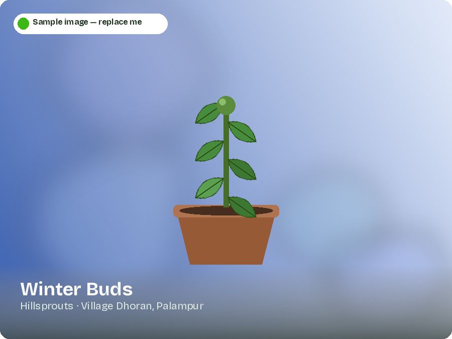 Winter Buds