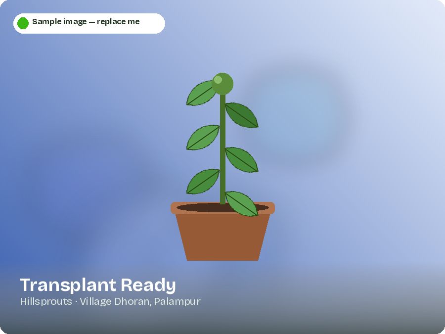 Transplant Ready