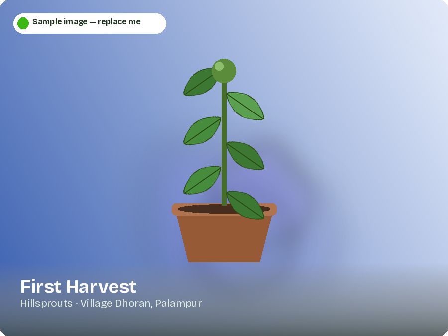First Harvest