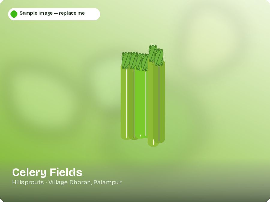 Celery Fields
