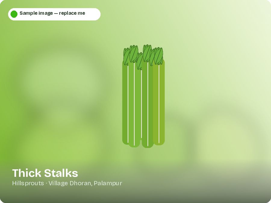 Thick Stalks
