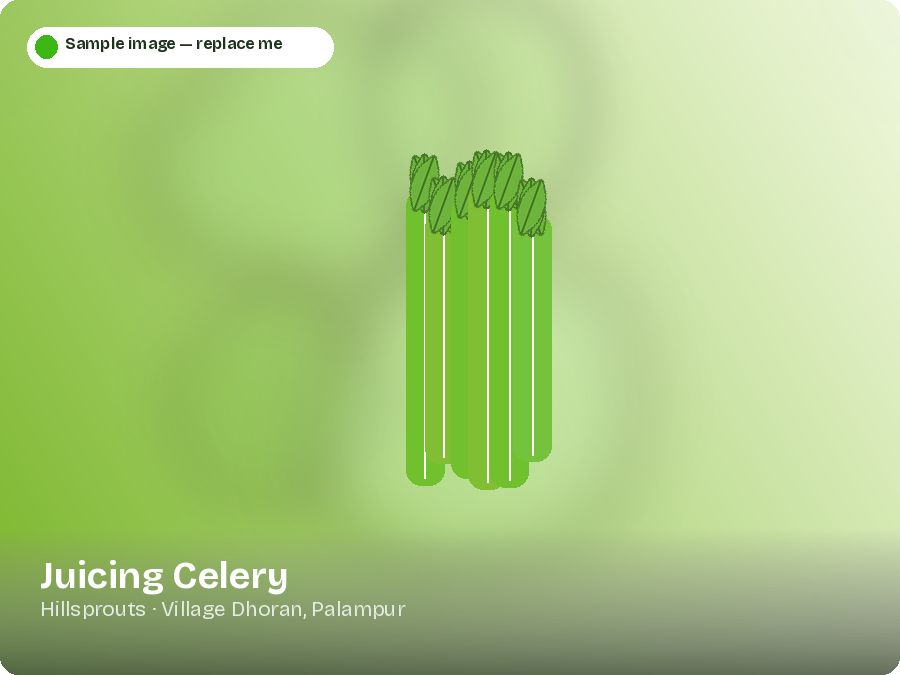 Juicing Celery