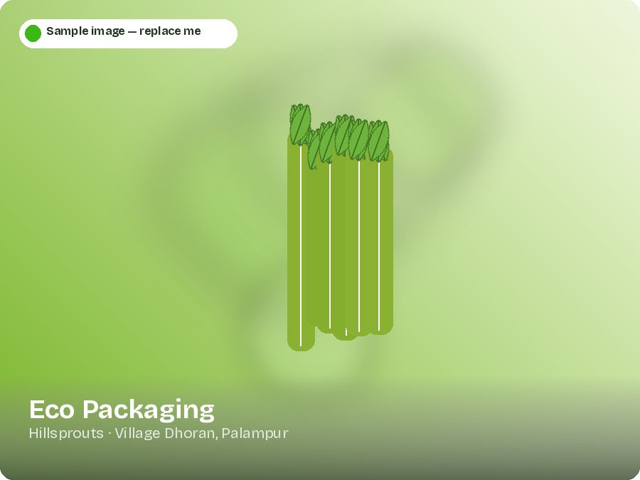 Eco Packaging
