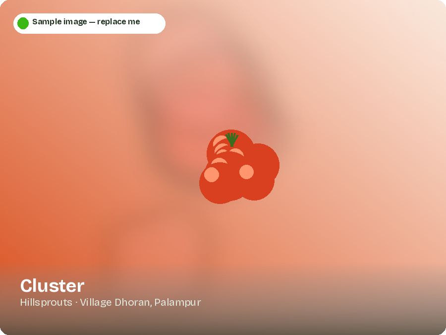 Cluster