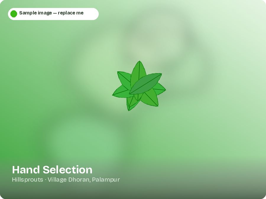 Hand Selection