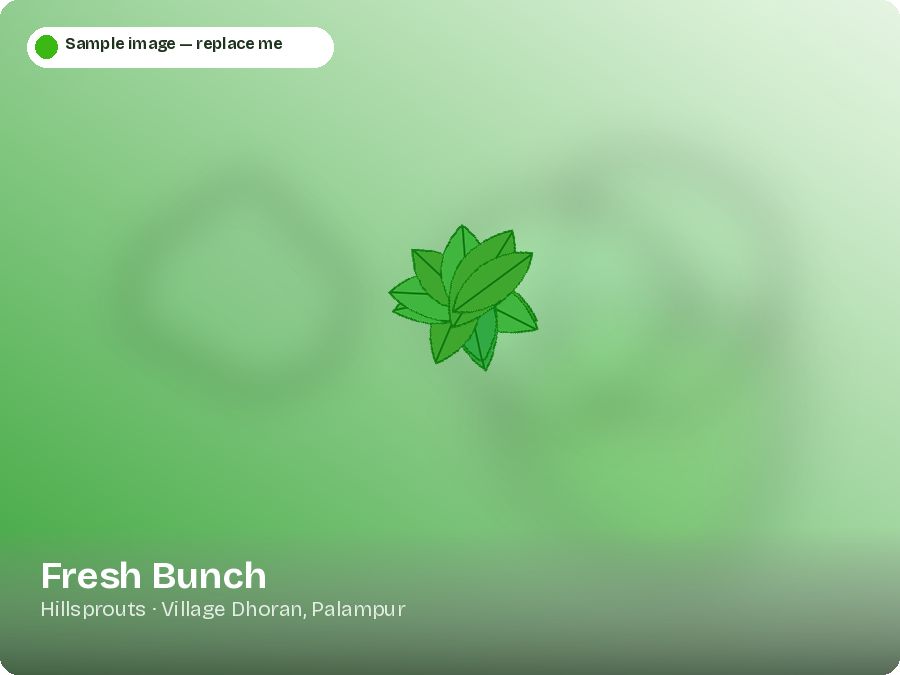 Fresh Bunch
