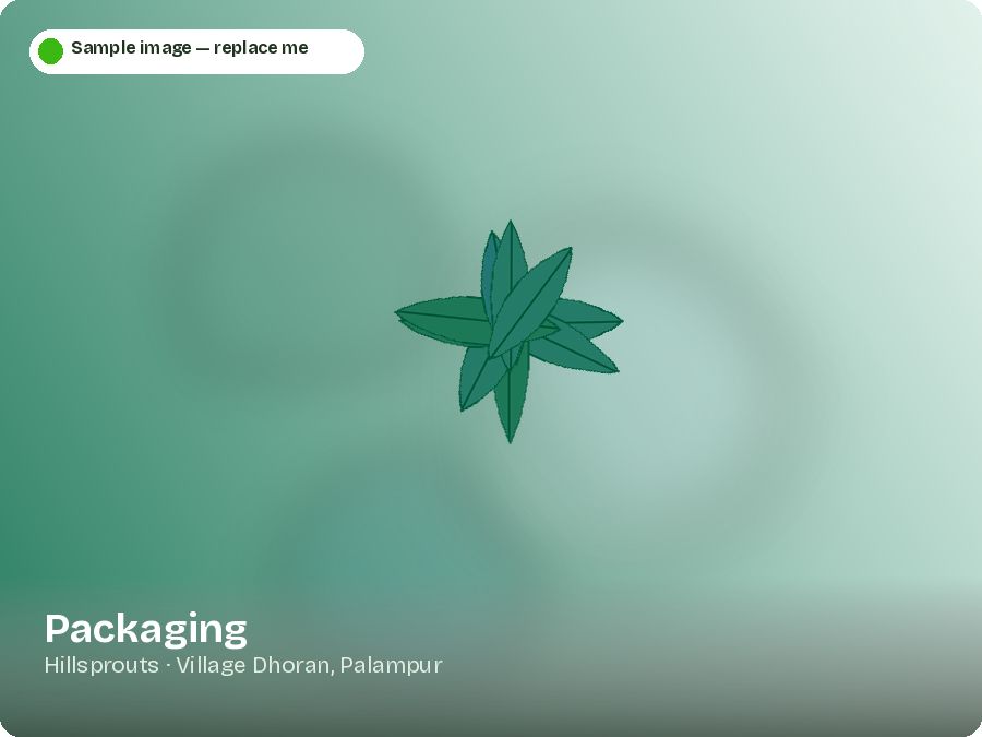 Packaging