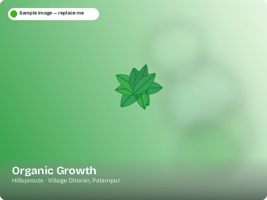Organic Growth