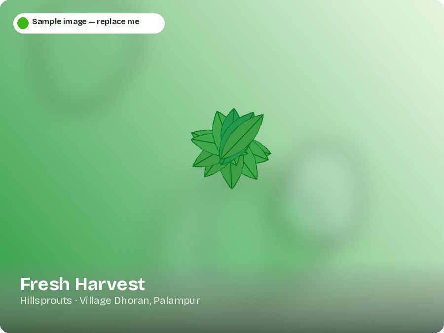 Fresh Harvest