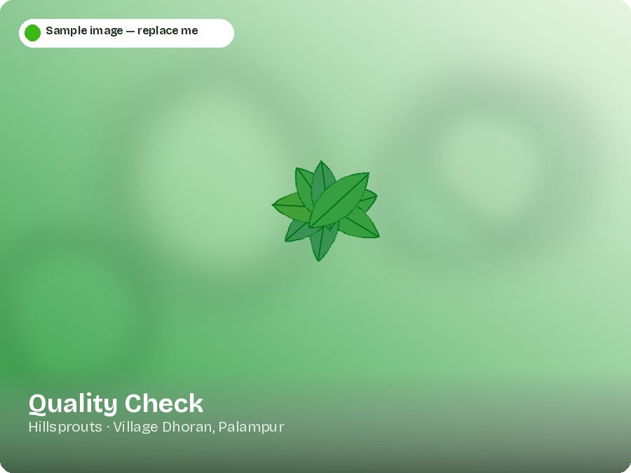 Quality Check