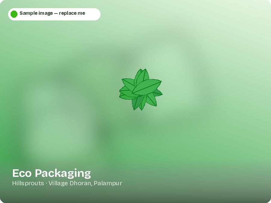 Eco Packaging