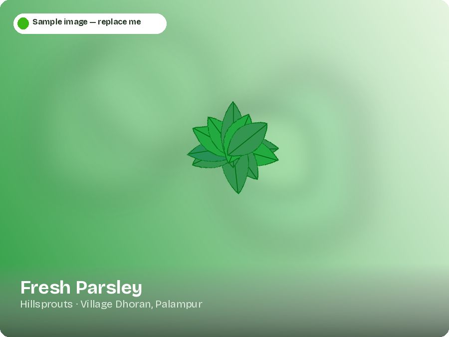 Fresh Parsley