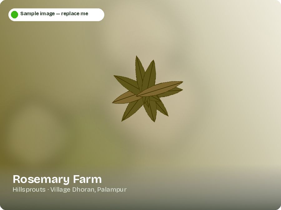 Rosemary Farm