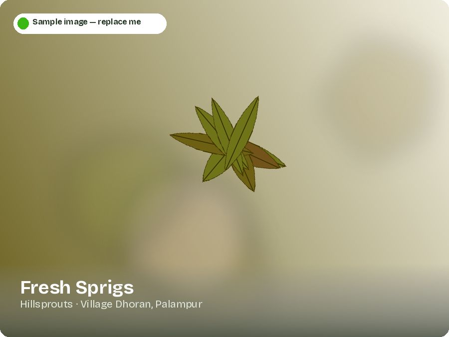 Fresh Sprigs