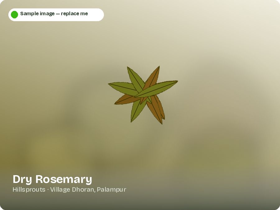 Dry Rosemary